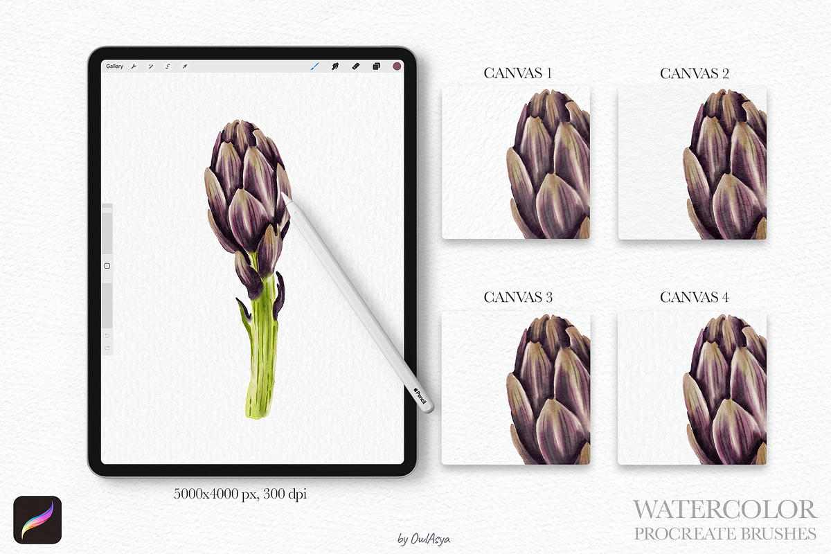 Watercolor Brushes for Procreate, a Brush Add-On by owlasya (Photo 4 of 9)