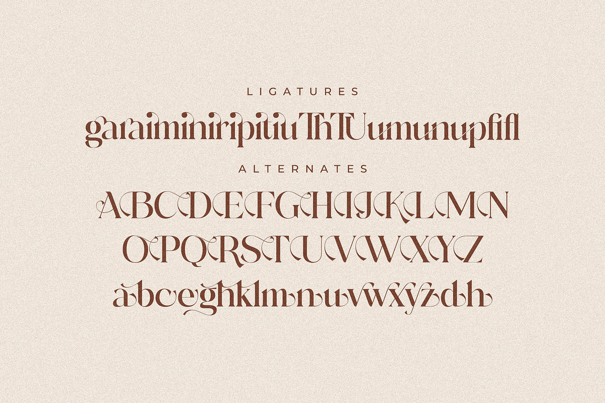 Adorage Modern Ligature Typeface, a Serif Font by Storytype Studio (Photo 13 of 15)