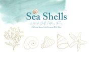 Watercolor Sea Shells Illustrations, a Work Illustration by TanataDesign (Thumbnail 4 of 10)