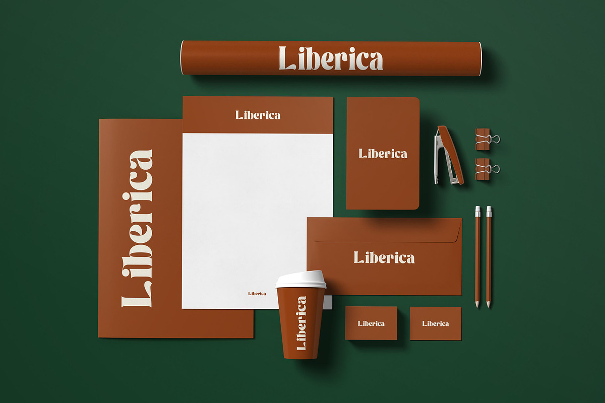 Williesh - Unique Display Serif, a Serif Font by Almarkhatype (Photo 8 of 10)