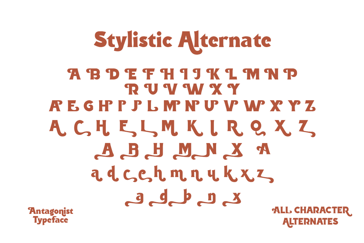 Antagonist Casual Bold Serif, a Serif Font by Haksen (Photo 11 of 15)