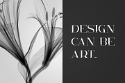 Kavo Styled Serif Typeface | 5 fonts, a Serif Font by VP Fonts (Thumbnail 10 of 13)