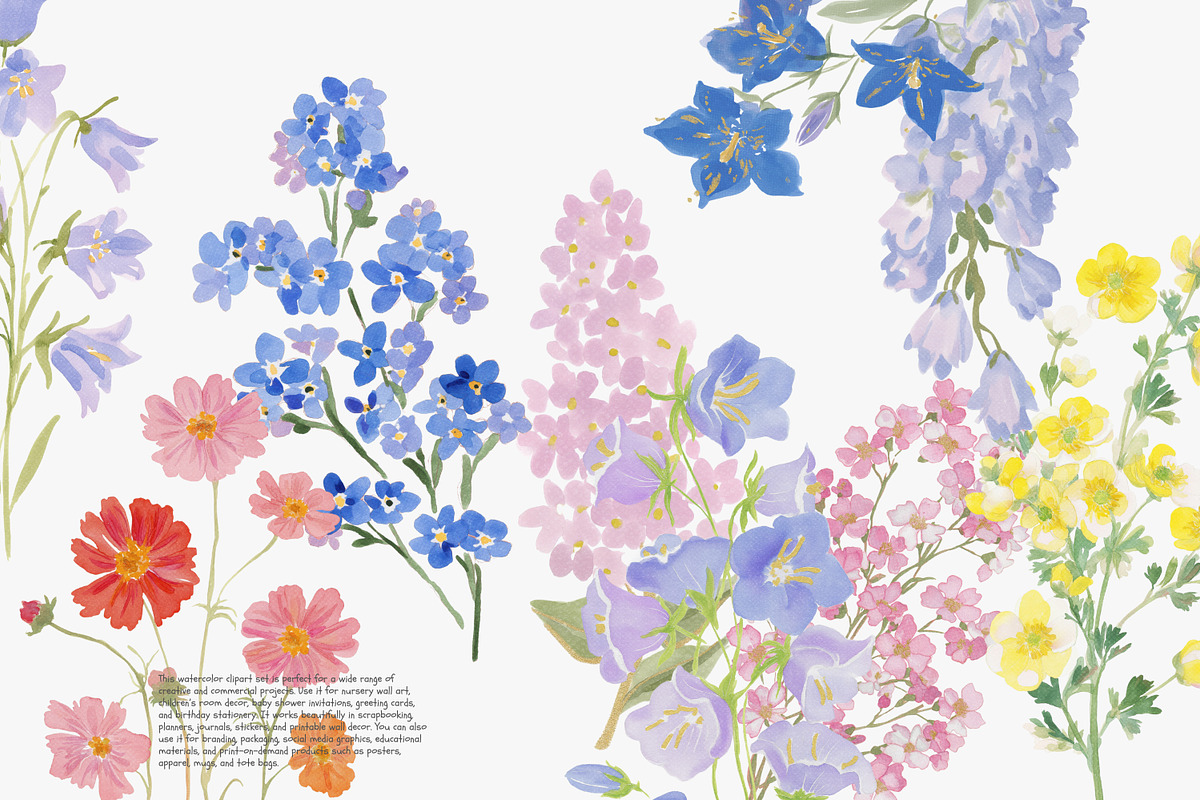 watercolor floral clipart bundle, a Decorative Illustration by Patishop Art (Photo 3 of 9)