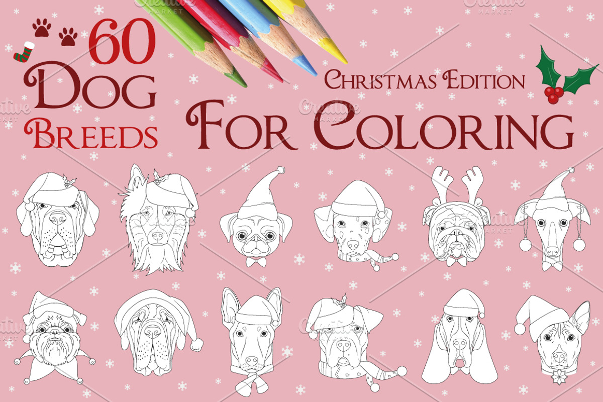Christmas 60 Dog Breeds for Coloring, an Animal Illustration by asantosg (Photo 1 of 9)