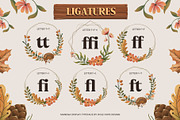 Manega | Vintage Serif Display Font, a Serif Font by Hole Hope Design (Thumbnail 6 of 10)