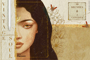 Vintage Soul Procreate Kit, a Brush Add-On by Liquid Amethyst Art