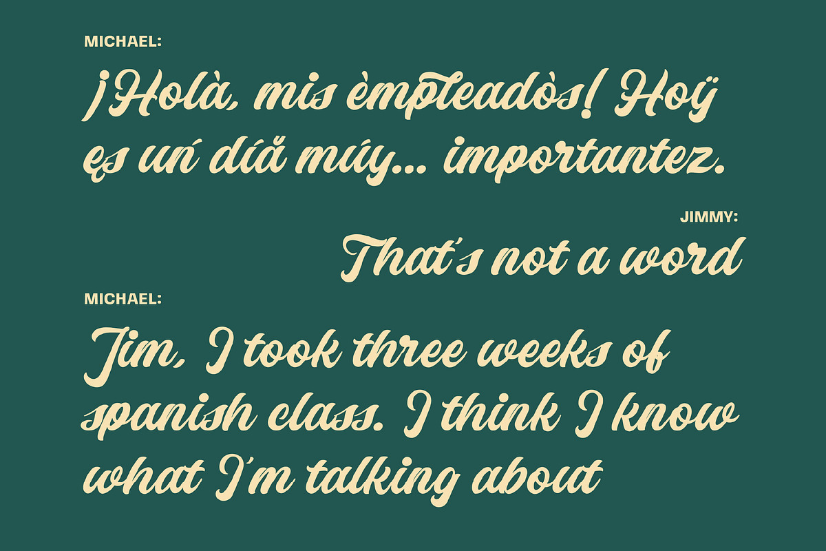 Flourivox, a Script Font by graphicook (Photo 4 of 10)