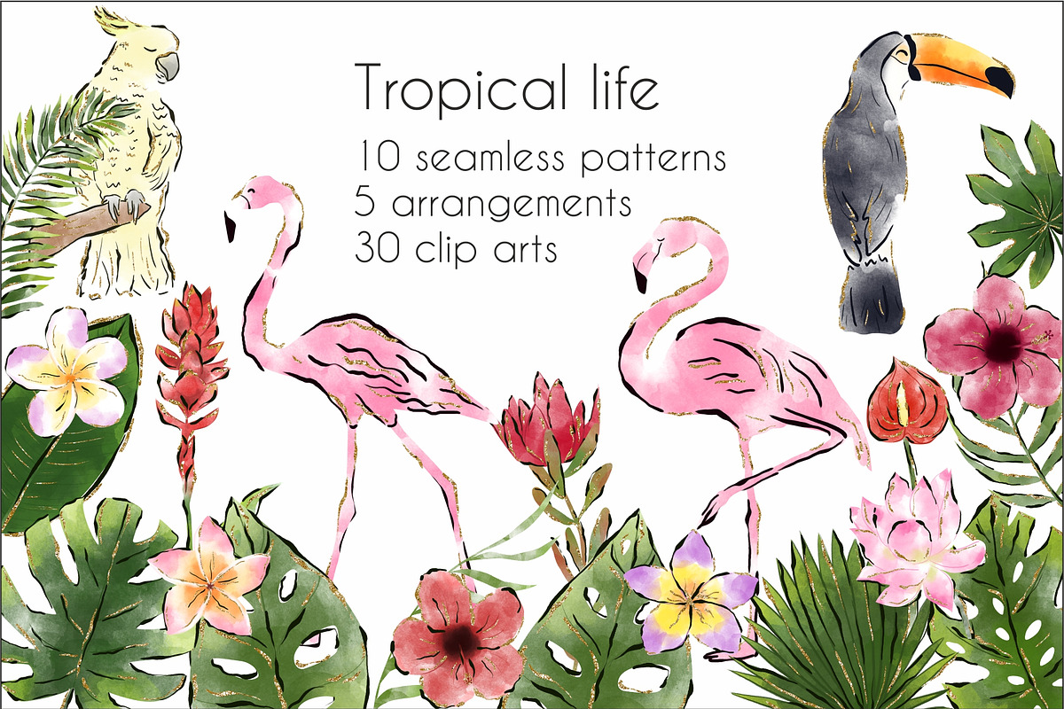 Tropical Life Clip arts & Patterns, a Graphic by Anel_S (Photo 1 of 6)
