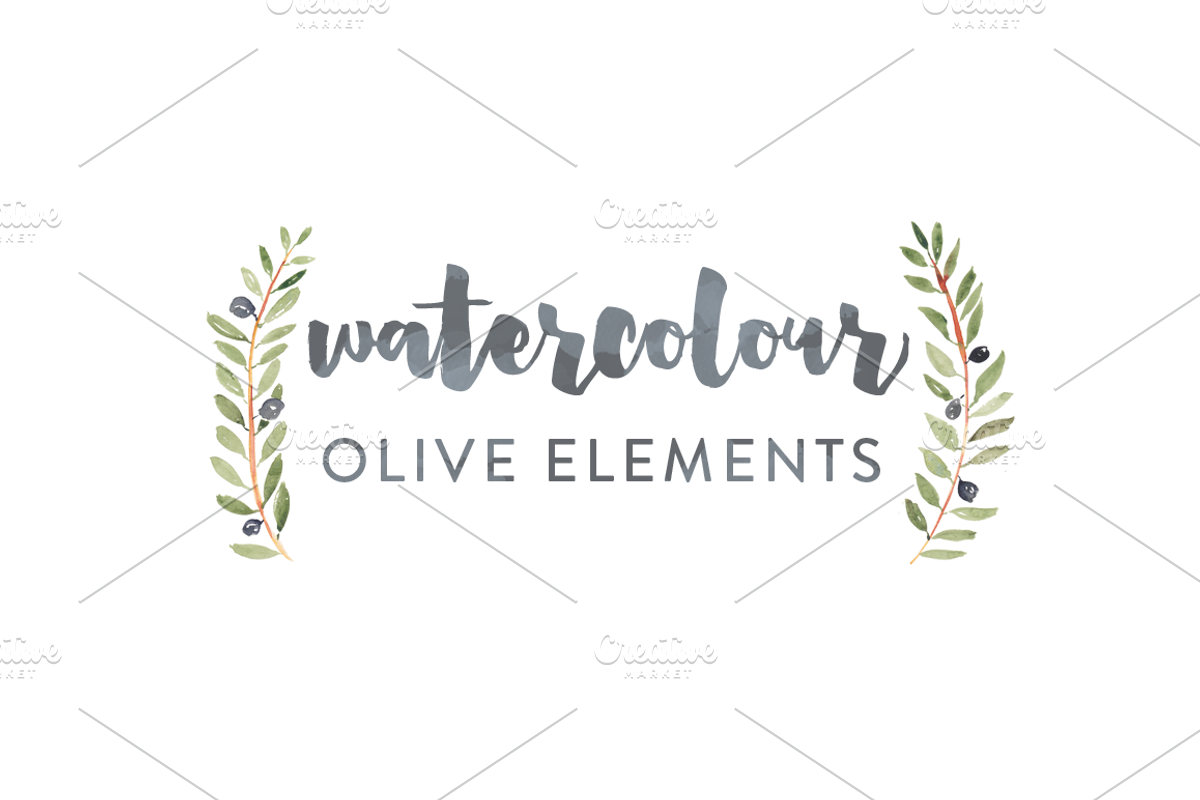 Olive Watercolor Elements, an Illustration by Susan Brand Design (Photo 1 of 4)