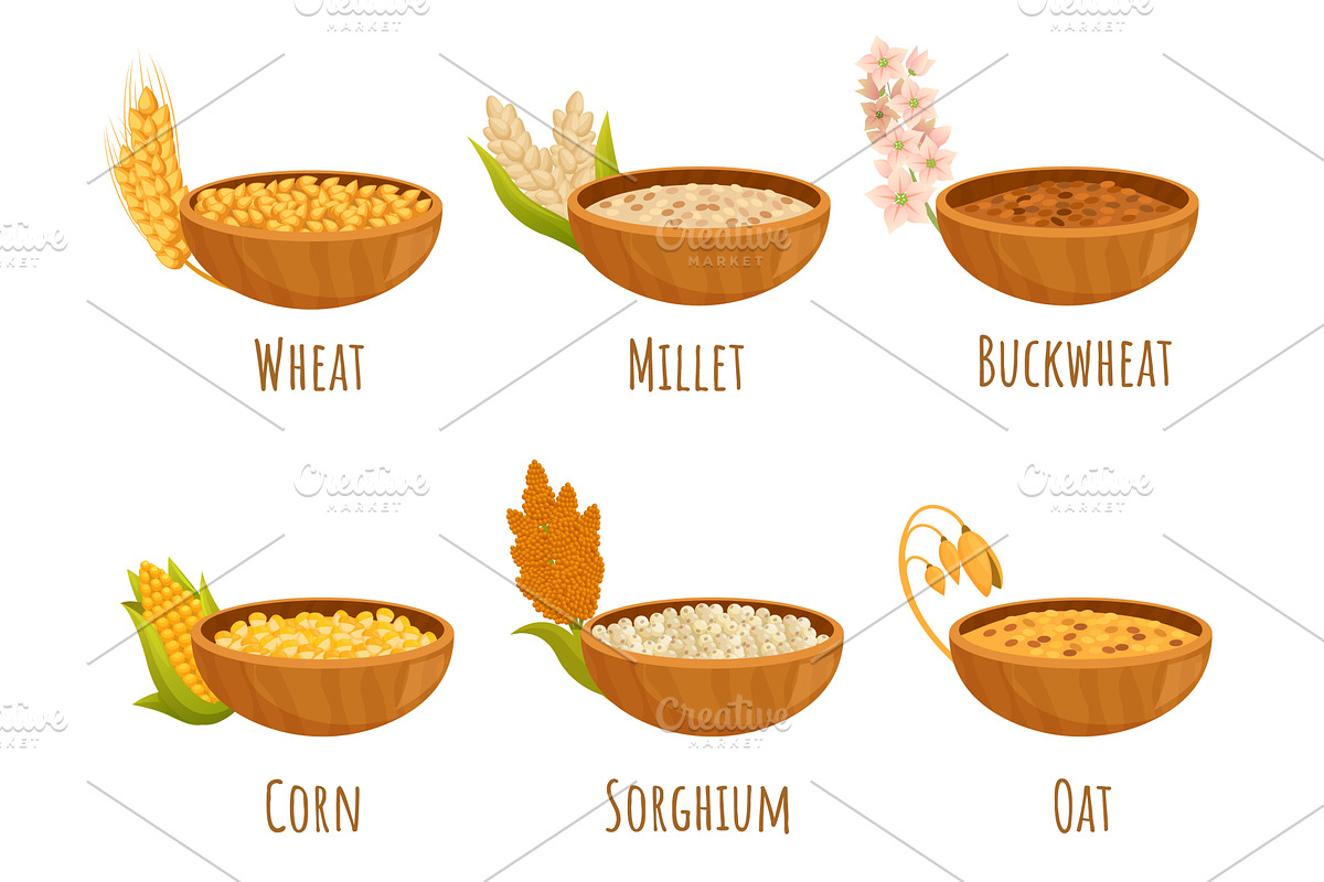Cereals in bowls. Various breakfast, a Food Illustration by Valerie Bodnar