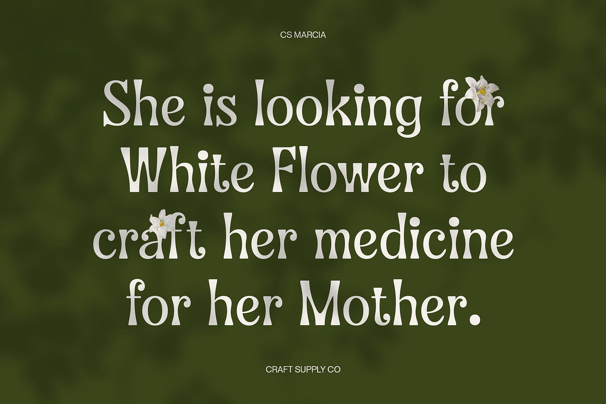 CS Marcia – Aesthetic Font, a Sans Serif Font by Craft Supply Co. (Photo 4 of 8)