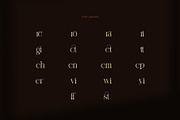 Ridrom Elegant Serif Font, a Serif Font by Graphicxell (Thumbnail 8 of 8)
