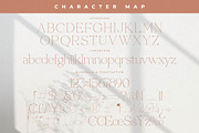 Merliha Modern Serif Font, a Serif Font by Storytype Studio (Thumbnail 13 of 15)