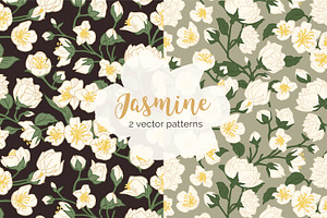 Jasmine Flowers Seamless Patterns