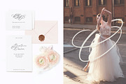 Allure & Grace. Calligraphy, a Script Font by AnMark (Thumbnail 2 of 15)