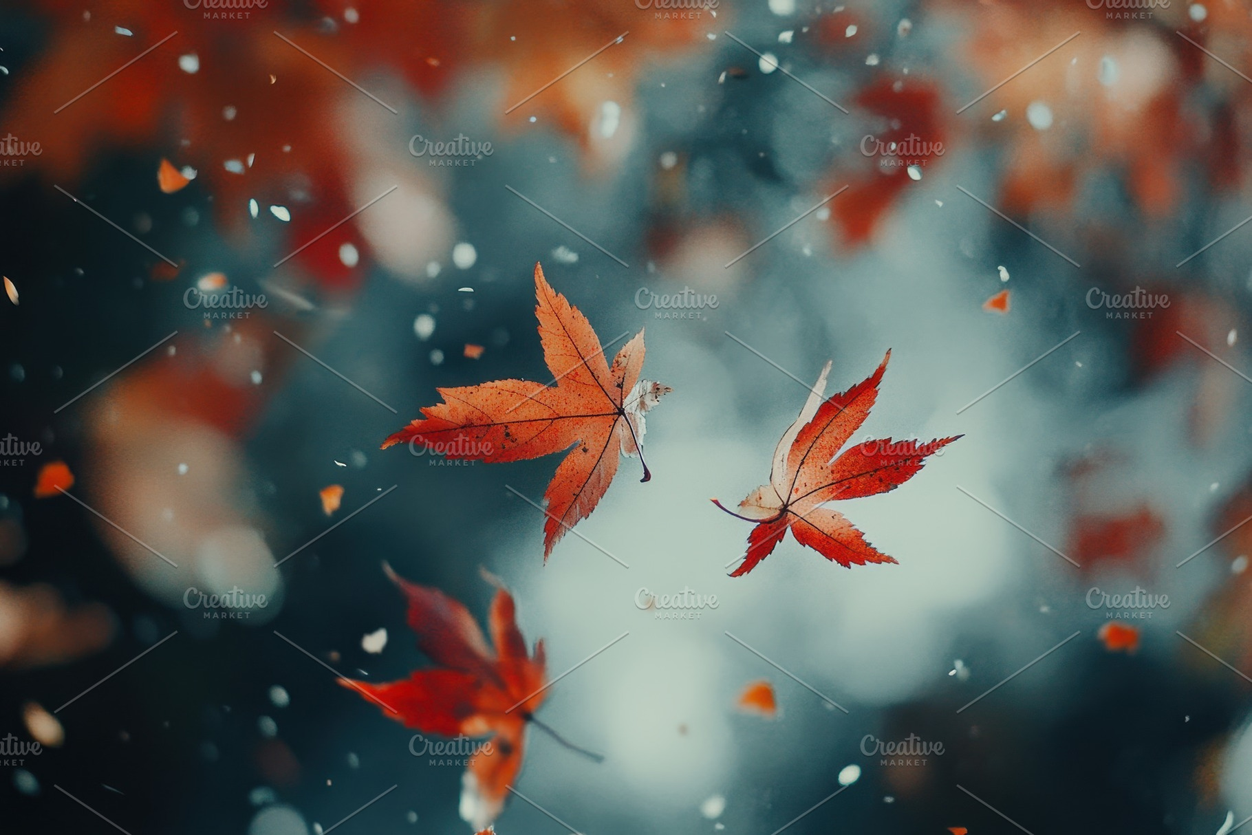 A peaceful autumn banner, a Photo by Pavel_design