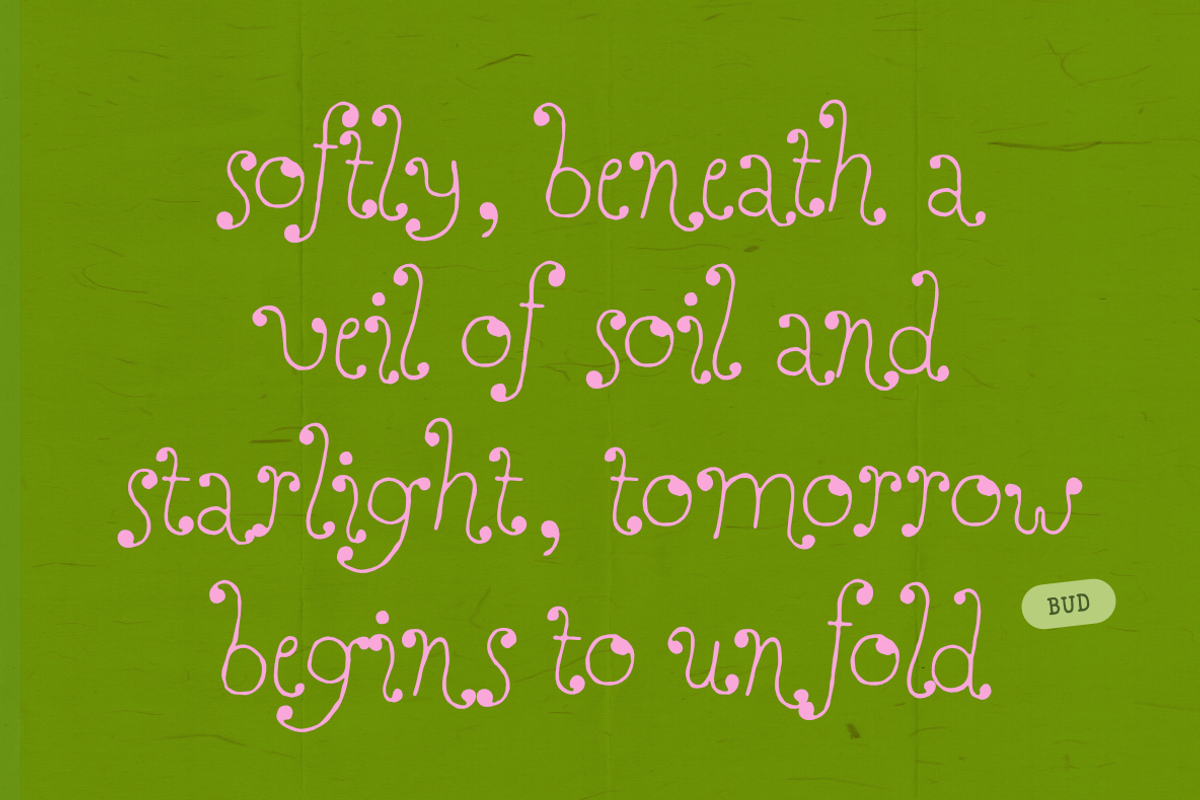 Perfect Sprouts | Whimsical Font, a Handwritten Font by type peace (Photo 4 of 20)