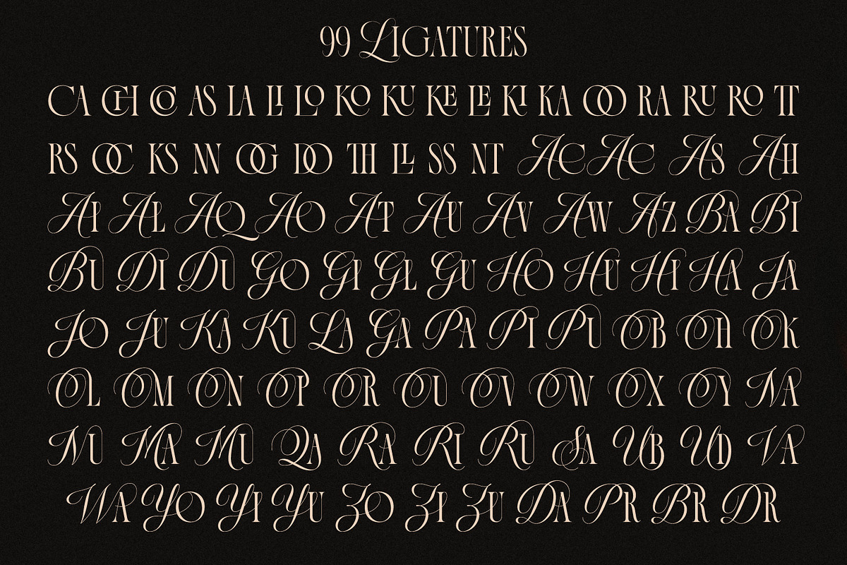 La Primera Ligature Serif, a Serif Font by Letteralle Studios (Photo 12 of 13)