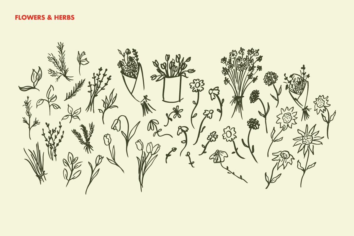 Farm Fresh Hand Drawn Illustrations, an Illustration by Oti Lu Studio (Photo 8 of 8)