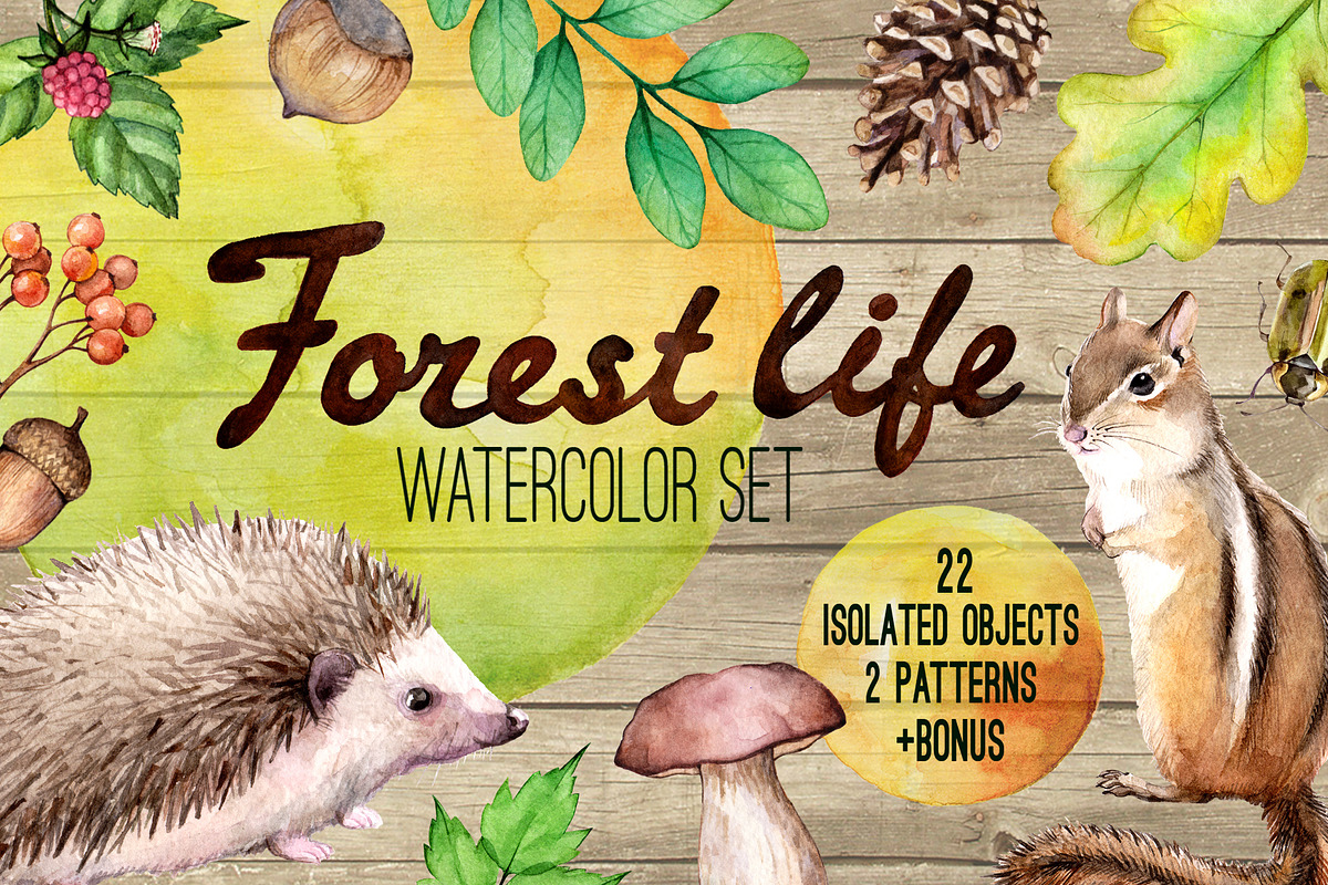Forest life Watercolor set, an Animal Illustration by Green_leaf_17 (Photo 1 of 4)