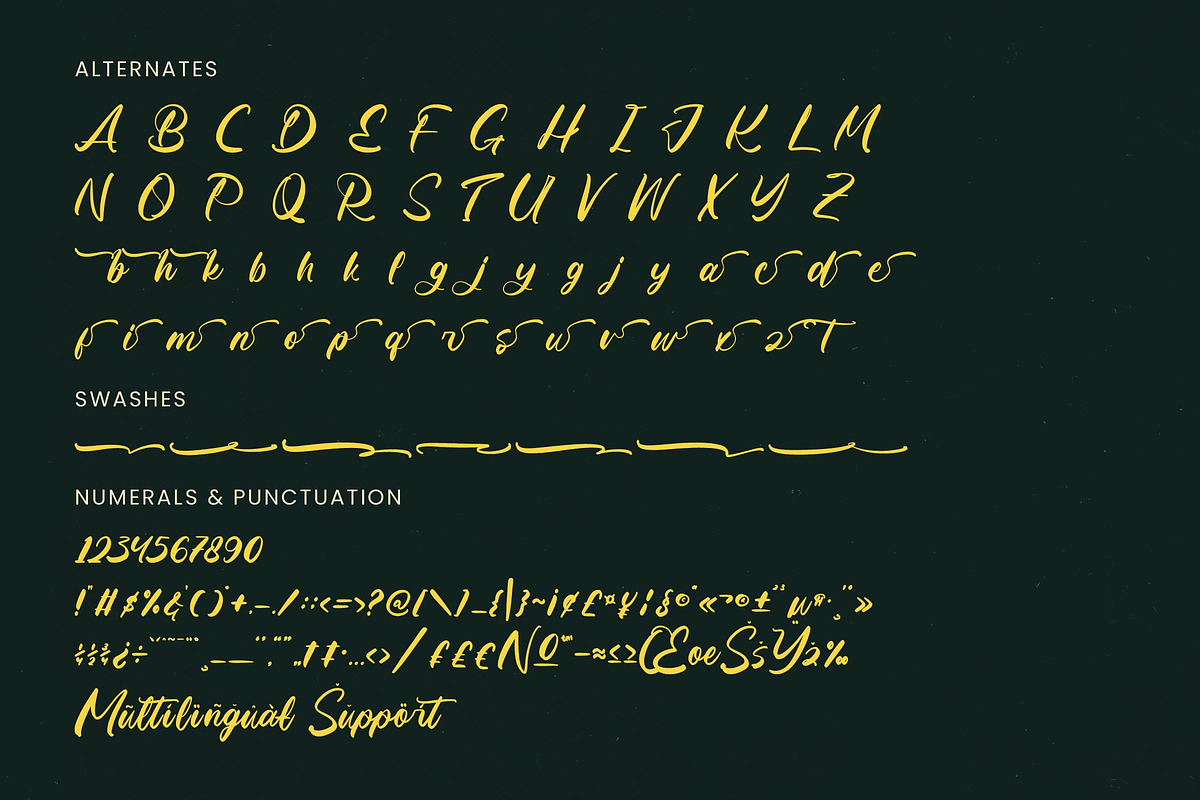 Matric Bunker Bold Brush Font, a Script Font by Letterena Studios Script (Photo 18 of 20)