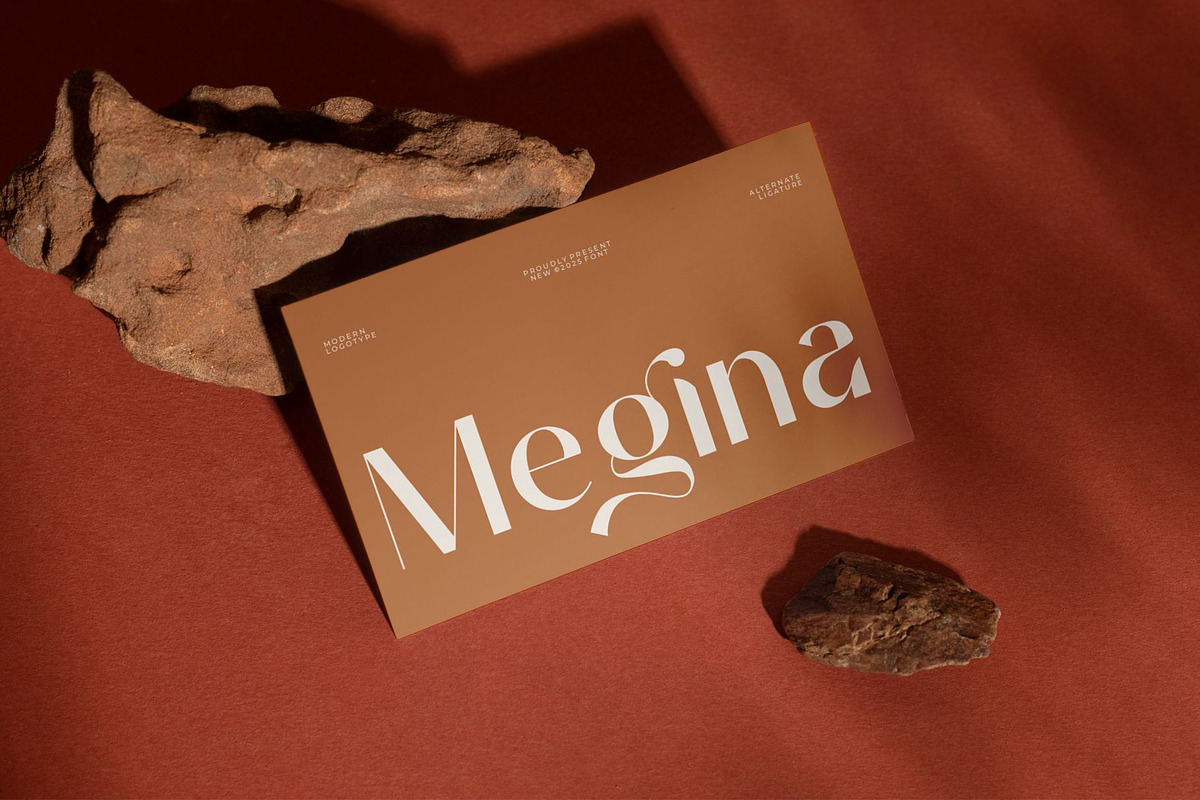 Hoolenn || Modern Vintage Sans Serif, a Serif Font by Ermedia Studio (Photo 5 of 8)