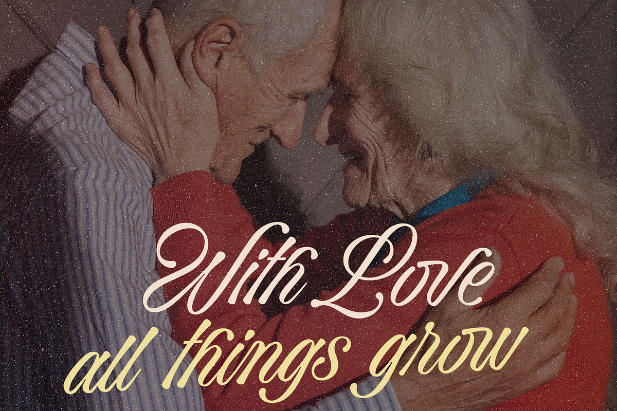 Bella Elegante - Calligraphy Font, a Script Font by Subectype Studio (Photo 3 of 10)