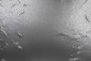 20 Silver Foil Metallic Textures, a Texture Graphic by UniqueMe (Thumbnail 12 of 12)