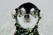 Double Exposure Kit, an Action Add-On by SparkleStock (Thumbnail 5 of 12)