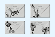 HERBARIA. Pressed Wildflower Scans, an Object Graphic by Schumacher Shop (Thumbnail 3 of 21)
