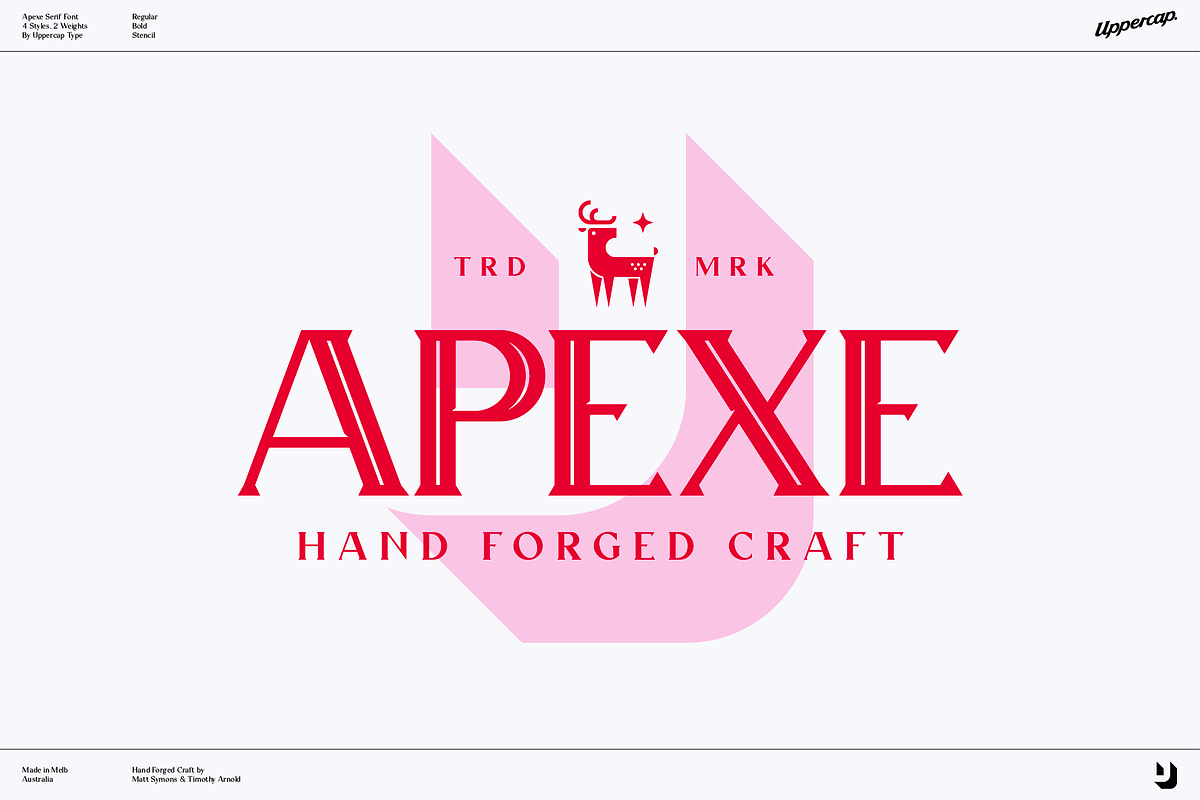 Apexe - Serif Font Family, a Serif Font by UppercapType (Photo 9 of 13)