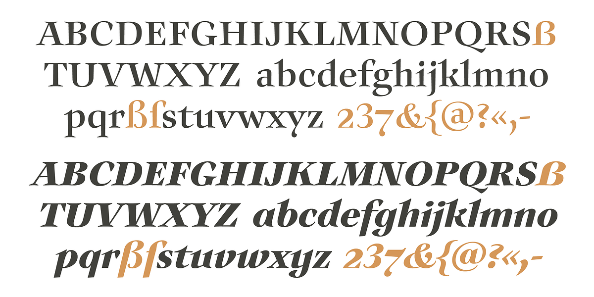 Auxerre, a Serif Font by ingoFonts (Photo 4 of 8)