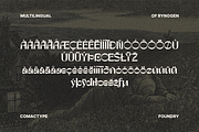 Rynogen - Decorative Typeface, a Sans Serif Font by Comactype Foundry (Thumbnail 13 of 14)