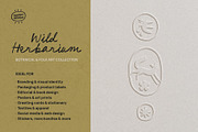 Wild Herbarium — Botanical Folk Art, an Object Illustration by happpydesign (Thumbnail 13 of 14)
