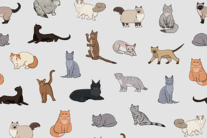 Breeds Of Cats