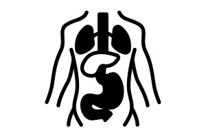 Anatomy medical solid icon, a Solid Icon by Creative priyanka