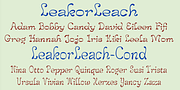 Leak or Leach, a Handwritten Font by Ingrimayne Type (Thumbnail 6 of 7)