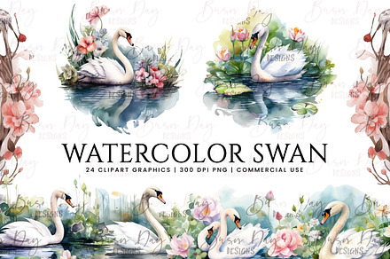Watercolor Swan Clipart Bundle, an Animal Illustration by BusyDaydesign