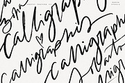 Calligraphy and Lettering Brushes, a Brush Add-On by Darla Studio (Thumbnail 18 of 18)