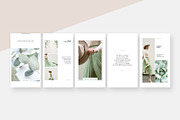 Ginkgo Animated Instagram Stories, a Social Media Template by Studio Sumac (Thumbnail 4 of 6)