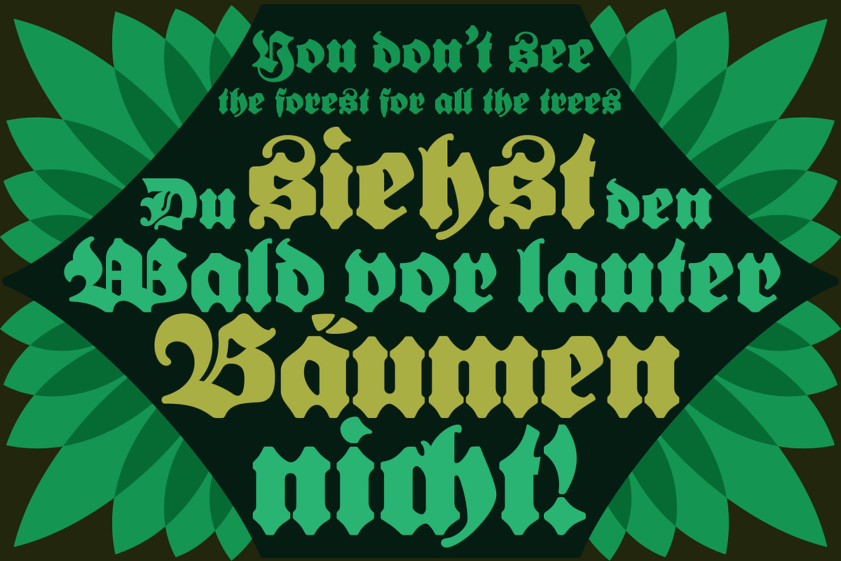 Bernard Fraktur, a Blackletter Font by Stefan Chirila (Photo 13 of 18)