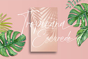 Symphony Beach | Modern Signature, a Script Font by Muntab_Art (Thumbnail 4 of 11)