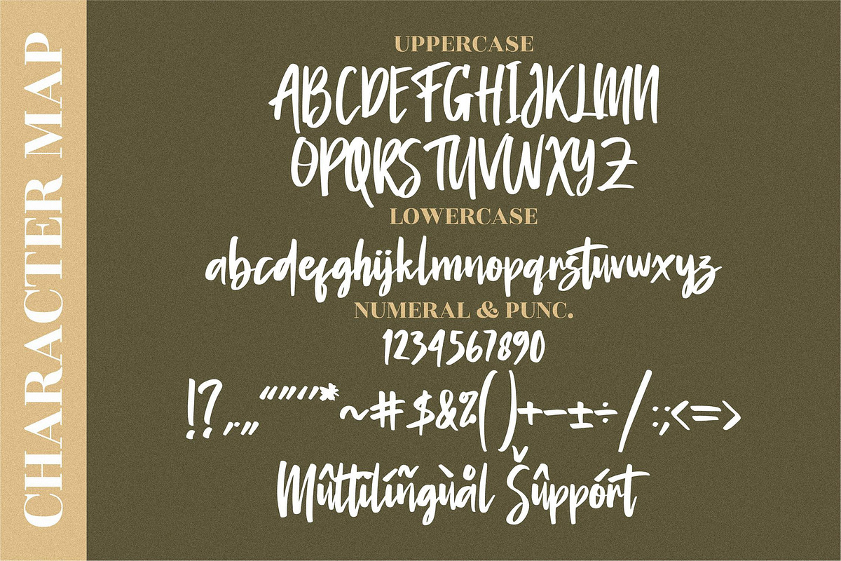 Amantaria Beauty Handwritten LS, a Script Font by GranzCreative (Photo 5 of 15)