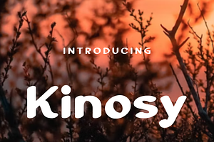 Kinosy