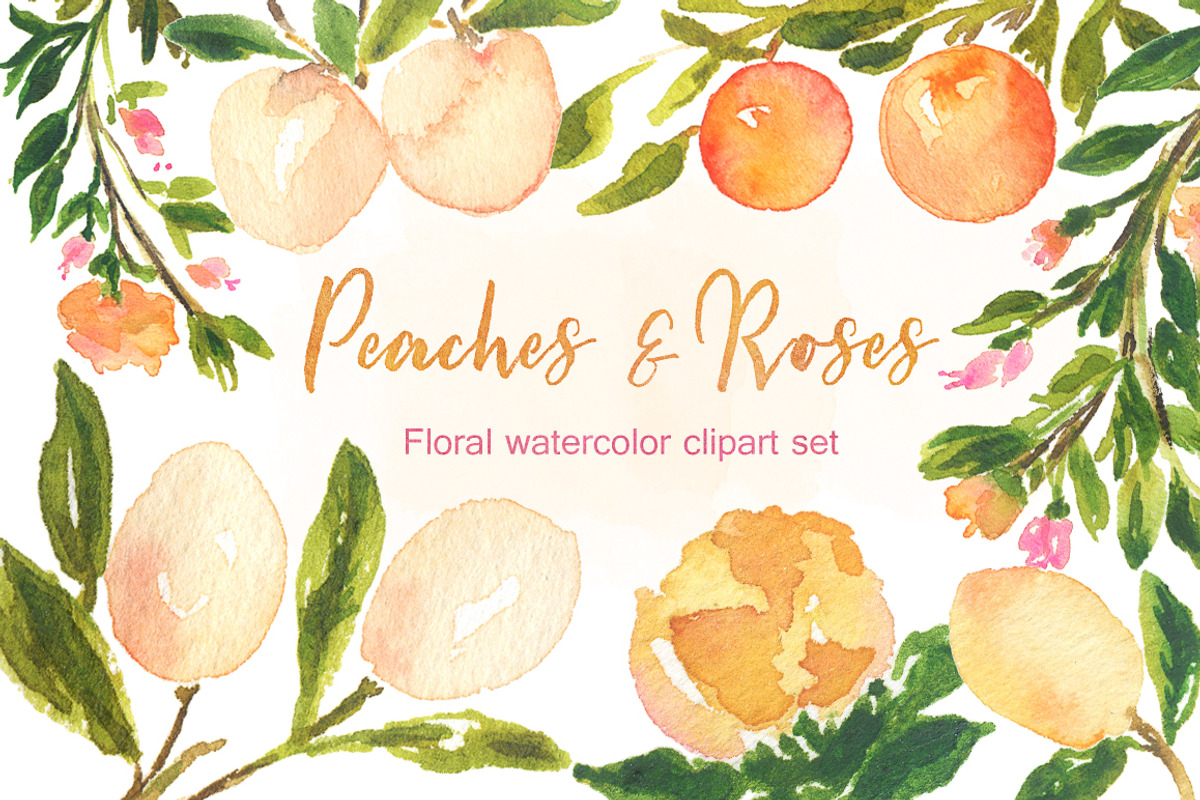 Peaches Roses  and gold watercolor, an Illustration by LABFcreations (Photo 3 of 5)