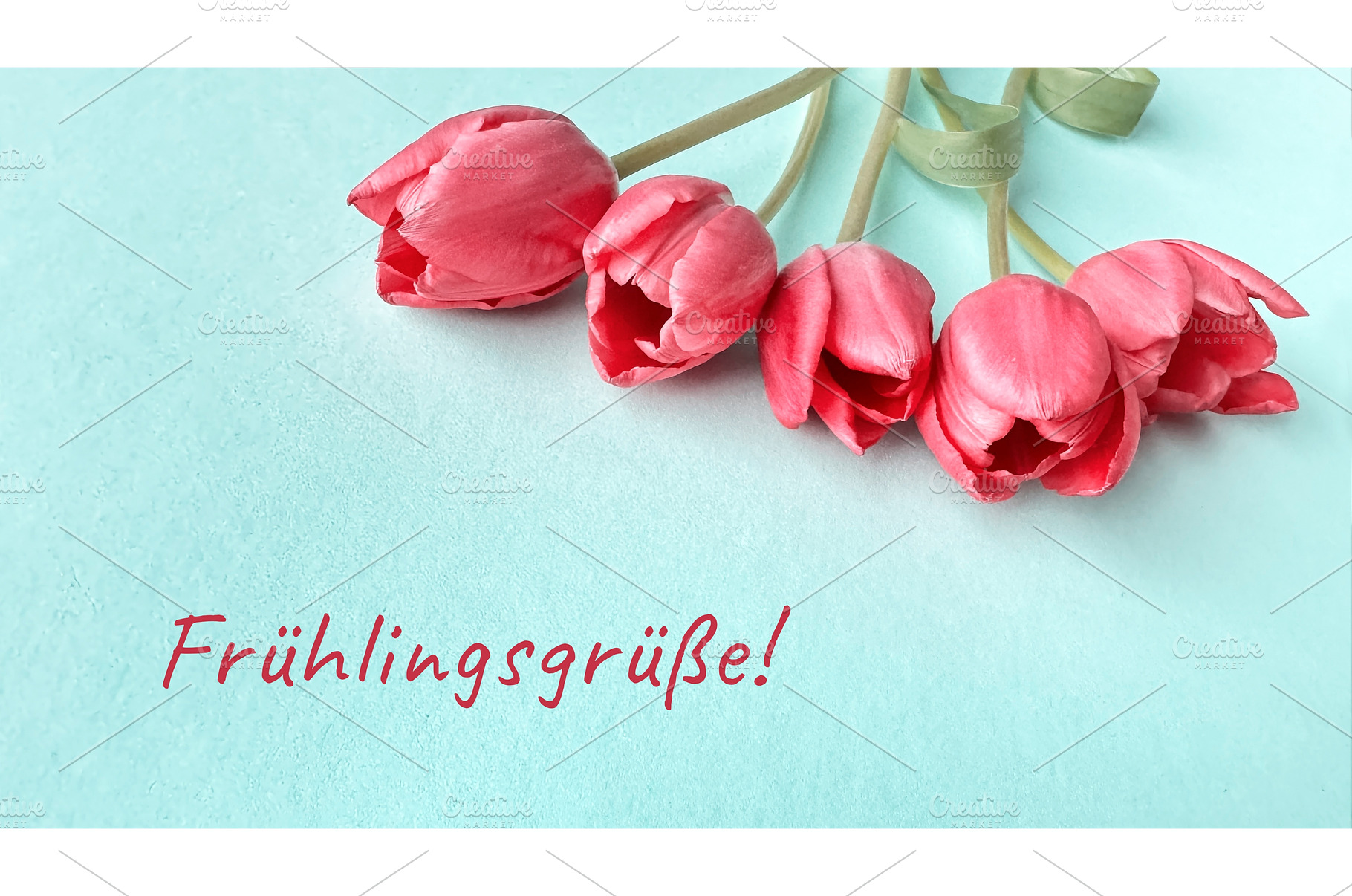Pink tulips on a light blue, a Photo by tilialucida