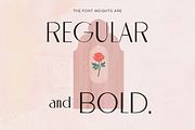 Omaira - Sleek Modern Sans Display, a Sans Serif Font by Cloverons (Thumbnail 10 of 14)