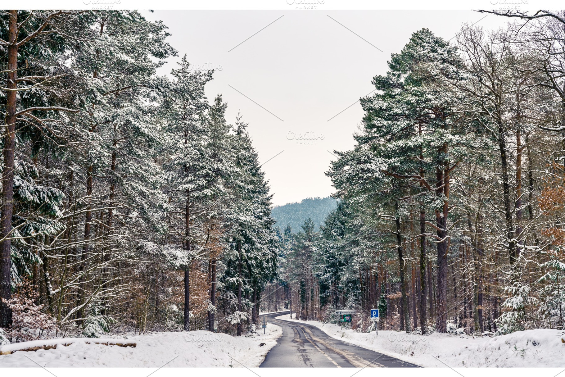 Road in the vosges mountains in winter basrhin department of france, a Nature Photo by Leonid Andronov
