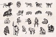 Wild Animals Engravings, an Object Graphic by Graphic Goods (Thumbnail 2 of 9)