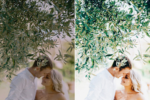 Fine Art Wedding Lightroom Presets